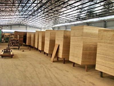 文(wen)明風(feng) - 福建永安(an)供電公(gong)司助(zhu)洪田村致富小(xiao)記(ji) 電力(li)賦能(neng)木材加(jia)工產(chan)業(ye)振(zhen)興(xing)