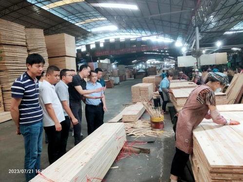 荔波縣林業(ye)局(ju)赴(fu)融水(shui)考察交流 共探木材加(jia)工產(chan)業(ye)升(sheng)級之(zhi)路