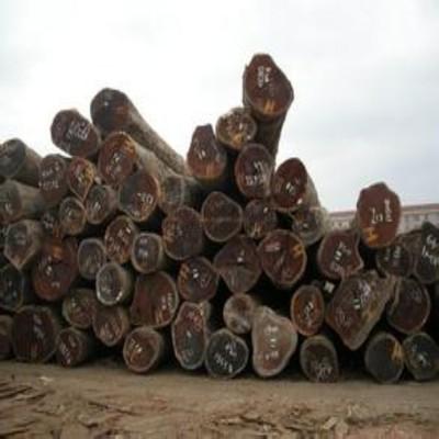 柳案木防(fang)腐木企業文化(hua)交流活動(dong)在(zai)莆(pu)田(tian)豐獅木材(cai)加(jia)工廠(chang)成功(gong)舉辦(ban)